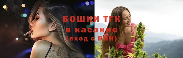 mix Ельня
