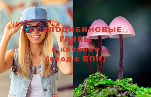 ALPHA PVP Гусев