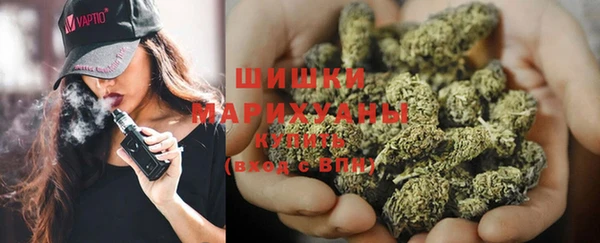 ALPHA PVP Гусев