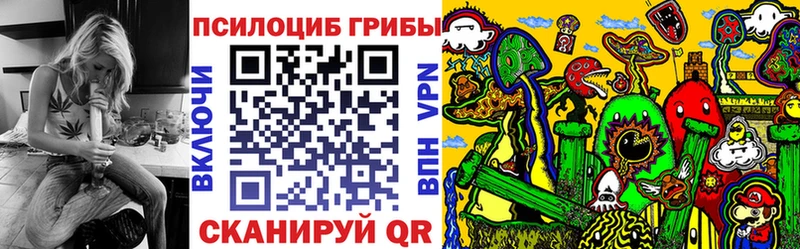 Галлюциногенные грибы Cubensis  сколько стоит  Новочебоксарск 
